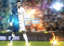 海星直播|红牛车队年终总结，维斯塔潘险演逆转传奇，二号车手佩雷斯再度陷入低迷