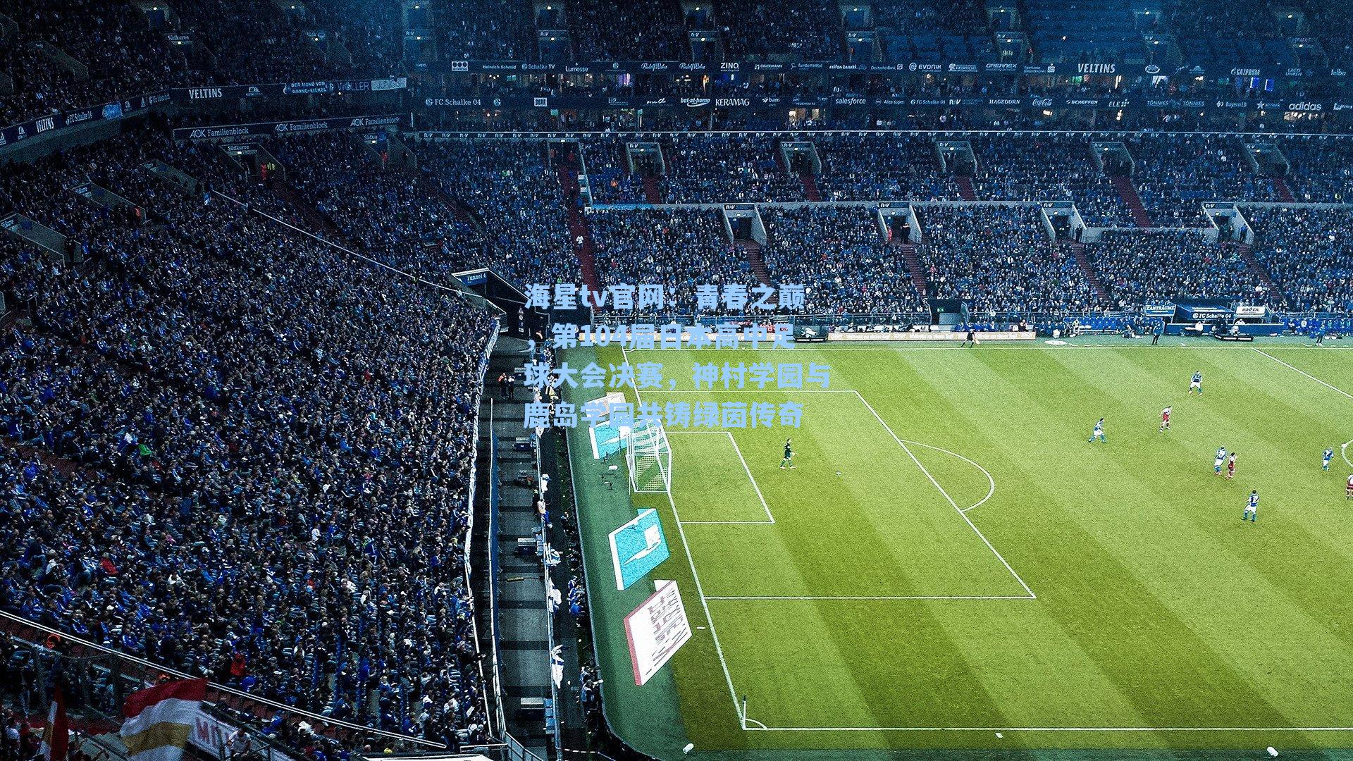 青春之巅,第104届日本高中足球大会决赛,神村学园与鹿岛学园共铸绿茵传奇