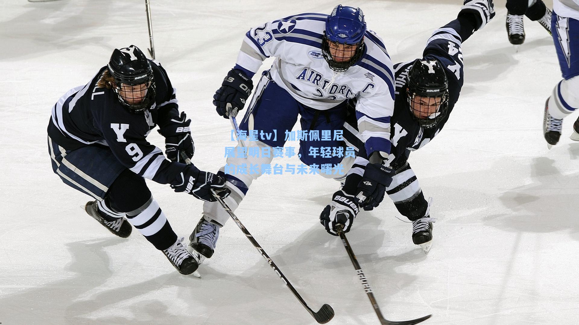 加斯佩里尼展望明日赛事，年轻球员的成长舞台与未来曙光