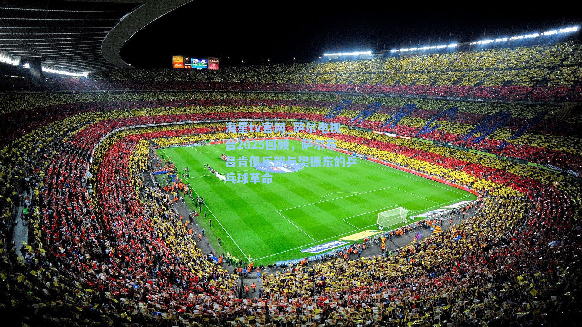 萨尔电视台2025回顾，萨尔布吕肯俱乐部与樊振东的乒乓球革命